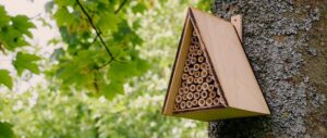 An einem Baumstamm hängt ein dreieckiges Insektenhotel aus Holz